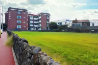 Captain Jeju Guesthouse - Hostel