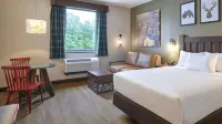 Great Wolf Lodge New England - 3 estrellas