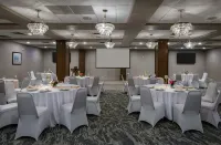坎盧普斯希爾頓逸林酒店 - 宠物友好