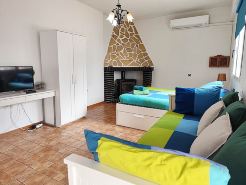 Studio Tropical