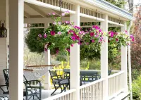 Five Gables Inn - Wifi