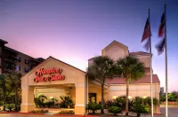Hampton Inn & Suites Houston Medical Center NRG - 2-stjärniga