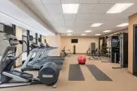 Homewood Suites by Hilton Washington DC Convention Center - pet friendly