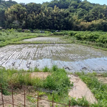 AGRIEAT SHIMAJIKAN