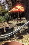 Hacienda Santa Rosalia Parador Hipico - Pet friendly