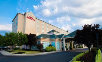 1. Hilton G..