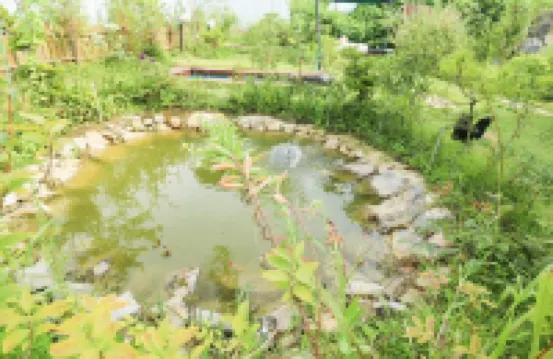 Yeoncheon Totomeong Pool Villa