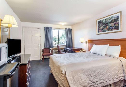 2. 트래블로지 바이..