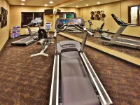 Holiday Inn Express & Suites DUBUQUE-WEST by IHG - Gym