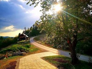 Vineyard Cottage Matej