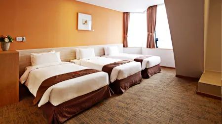 Hotel Skypark Myeongdong 2
