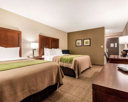 Comfort Inn & Suites Omaha Central Hotels near Fun Plex