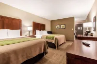Comfort Inn & Suites Omaha Central Hotel a La Vista