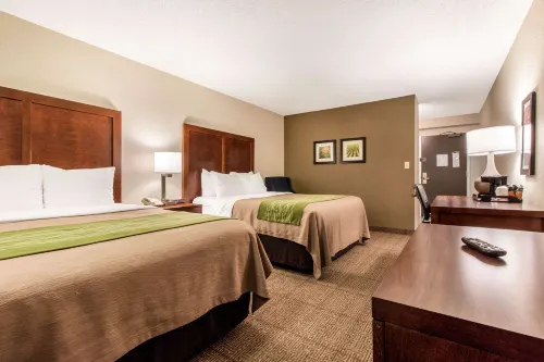 Comfort Inn & Suites Omaha Central Hotels in La Vista