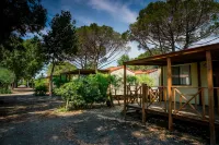 New Camping le Tamerici Các khách sạn ở Marina di Cecina
