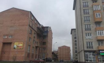Apartment na Vladikavkazskoy