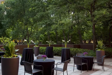 Chicago Marriott Suites O'Hare Отели рядом с достопримечательностью «Театр Роузмонта»