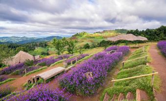 The Doi Moncham