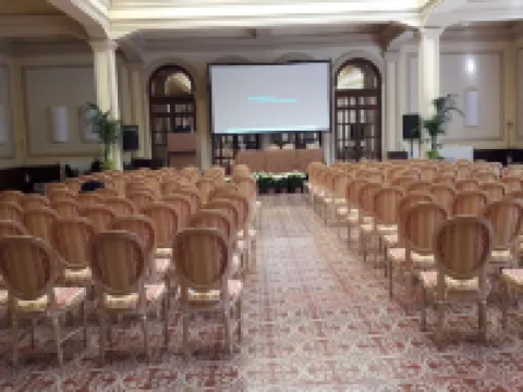 皇家大酒店 維亞雷焦酒店