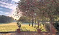 Crouchers Hotel Hotels in Fishbourne