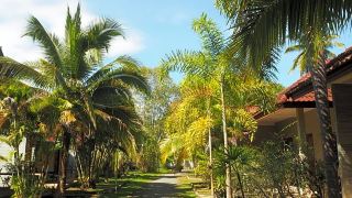 coconut-bungalow