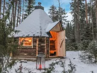 Mäntyniemi Hotels in Raakkyla