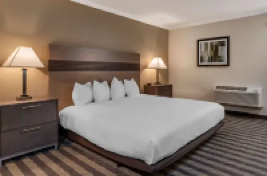 Best Western Silicon Valley Inn Hoteles en Sunnyvale