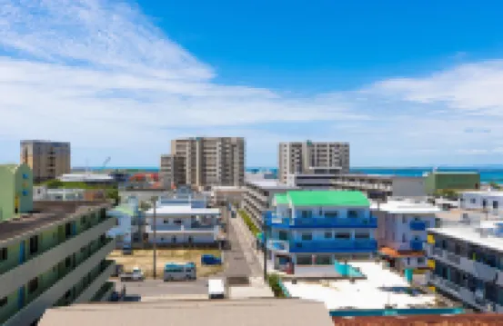 Mr.Kinjo Golden Cats