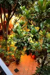Hotel Casa Guivá