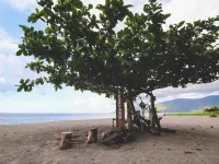Pannzian Beach Resort - Strand