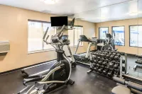 Comfort Inn & Suites North Aurora - Naperville - Gym