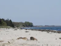 "Bridgette" - 100m from the Sea Hotel a Tranekaer