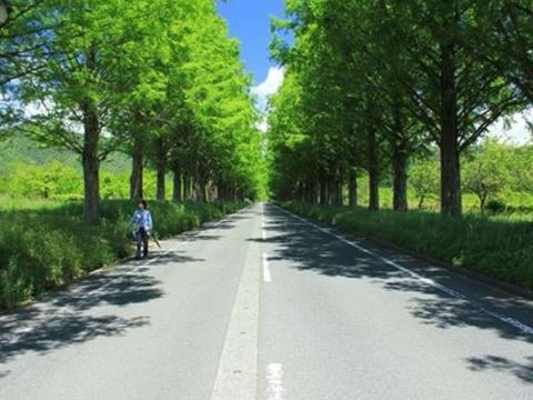 쿠쿠네스트 객실 사진