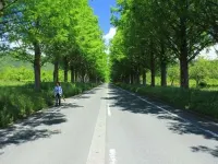 Pension Cuckoonest Hotel a Distretto di Mikata