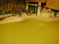 Kadoya Re Hotels in Taketa