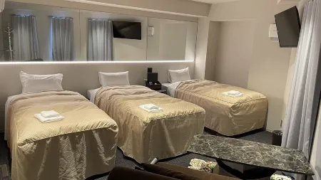 HOTEL  LiVEMAX  Nara　Ekimae