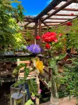 Hostal Mi Segundo Hogar Các khách sạn gần Terminal Collao Concepcion