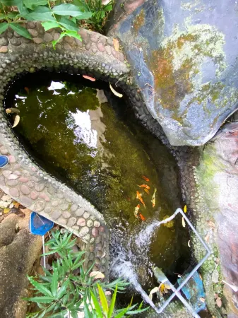 Homey Guesthouse Near SBY Zoo Syariah Отели рядом с достопримечательностью «Зоопарк Сурабая»