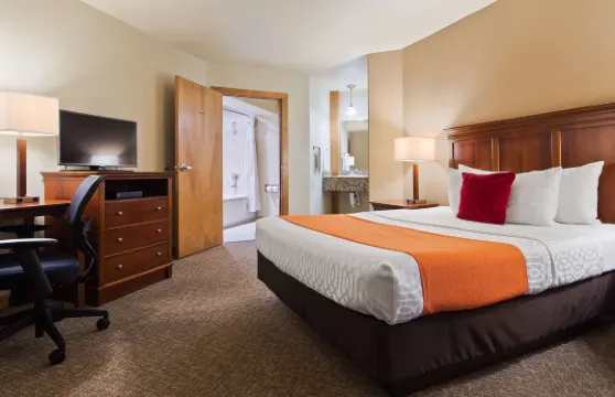 大學貝斯特韋斯特酒店