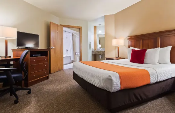 大學貝斯特韋斯特酒店