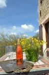 Villa Verdicchio - B&B with Wellness for Winelovers Các khách sạn ở Genga