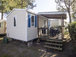 L’Aloe Bleue - Sud Nantes Camping du Bois Masson