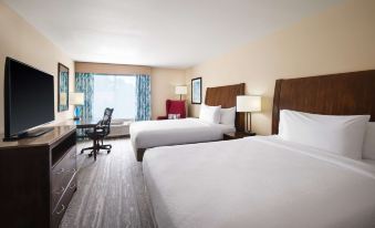 Hilton Garden Inn Houston/Bush InterContinental Airport