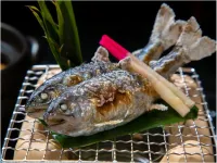 Hitoyoshi Onsen Ryokan Suiranrou Hotels in Hitoyoshi