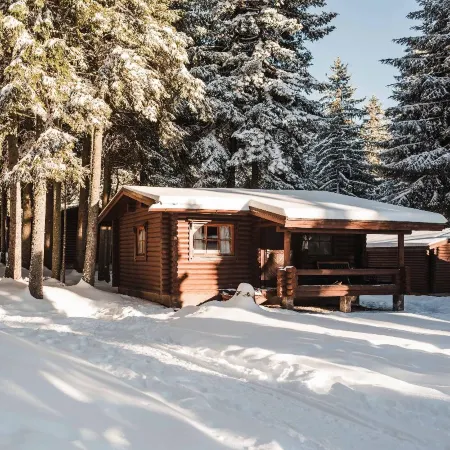 Villa Yagoda Отели в г. Боровец