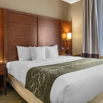 Comfort Suites North