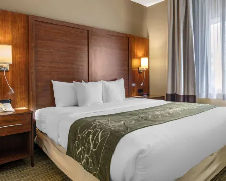 Comfort Suites North Hotel di Elkhart