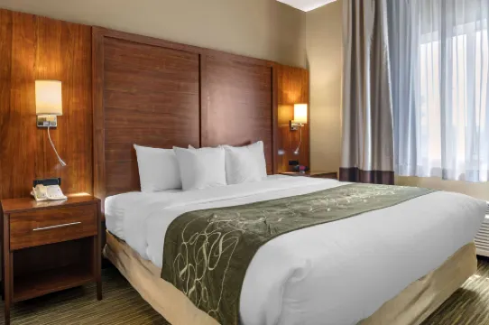 Comfort Suites North Hoteles en Elkhart