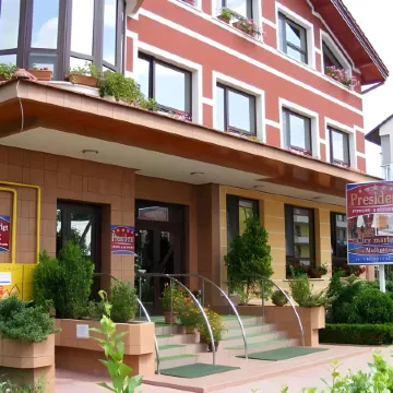 Pensiunea President Отели в г. Дева