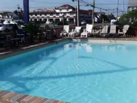Sea Horse Motel Hotels in Ship Bottom
